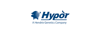 hypor